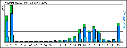 Hourly usage