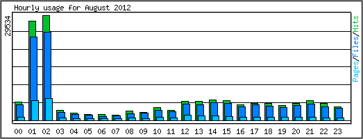 Hourly usage