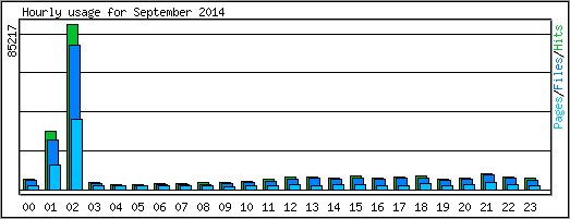 Hourly usage