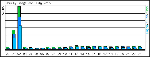 Hourly usage