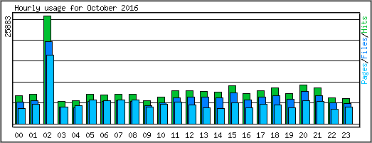 Hourly usage