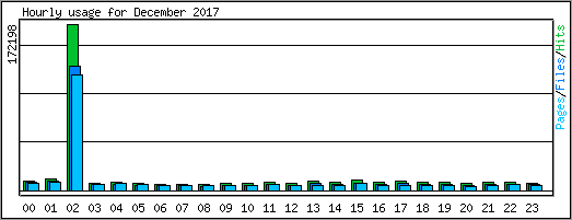 Hourly usage