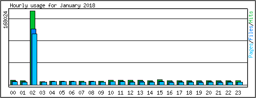 Hourly usage