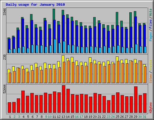Daily usage for January 2010