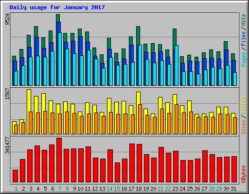 Daily usage for January 2017