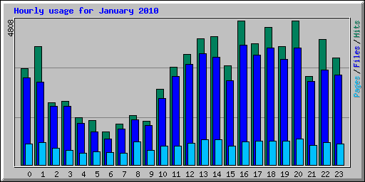 Hourly usage for January 2010