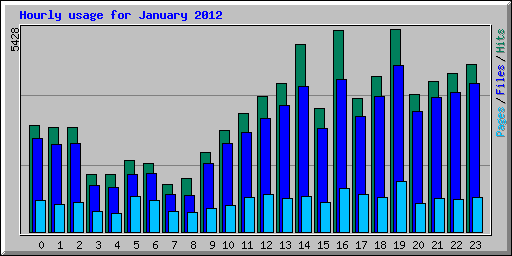 Hourly usage for January 2012