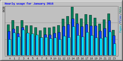 Hourly usage for January 2016