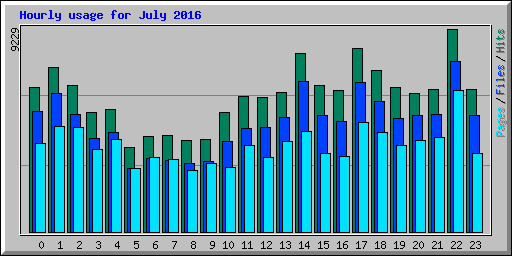 Hourly usage for July 2016