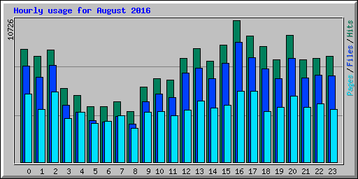 Hourly usage for August 2016