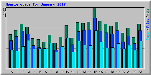 Hourly usage for January 2017