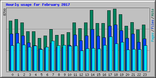 Hourly usage for February 2017