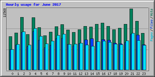 Hourly usage for June 2017